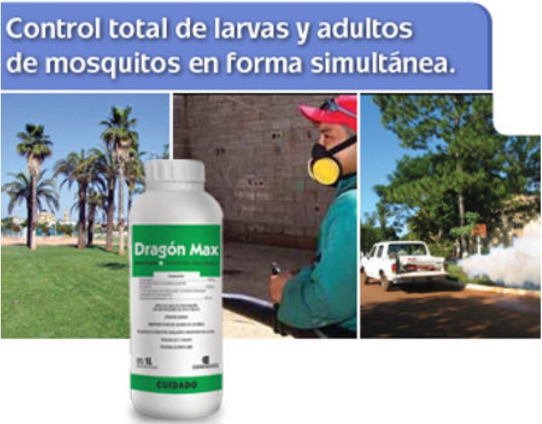 Imagen de la diapositiva