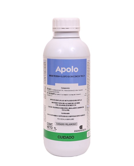 Imagen de la diapositiva