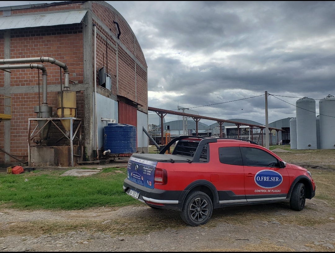 Imagen de la diapositiva