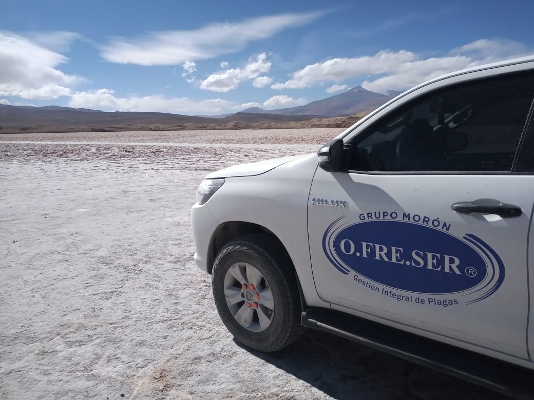 Imagen de la diapositiva