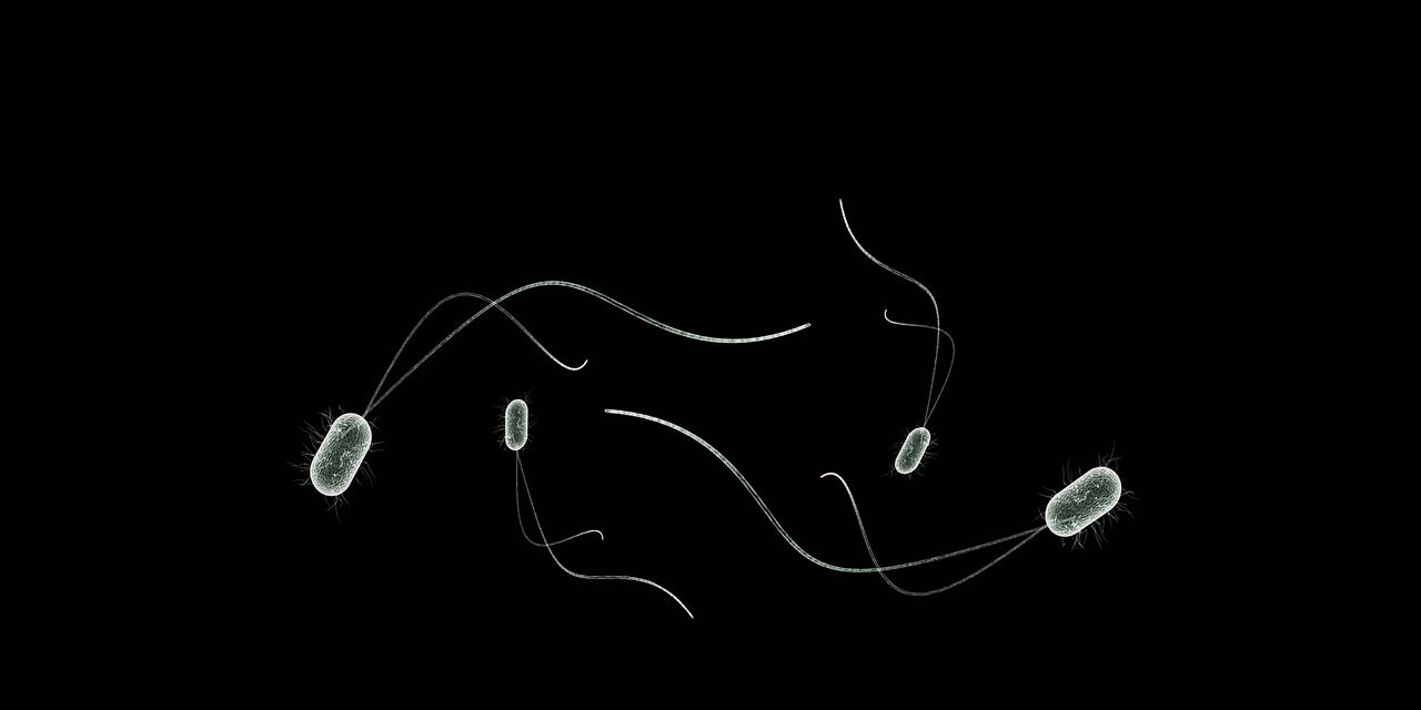 Odoo • Una imagen con una leyenda