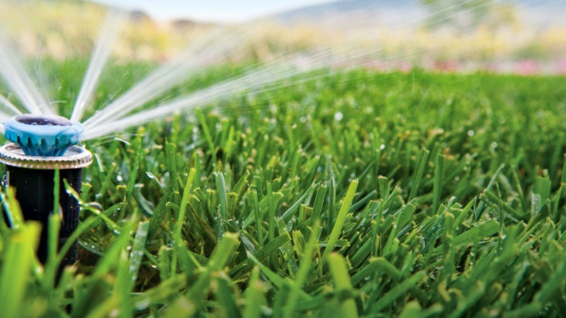 Odoo • Imagen y texto